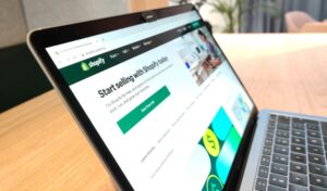 Web analytics ecommerce